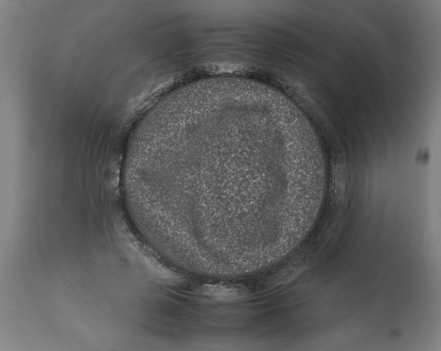 X0000112790545200909181516