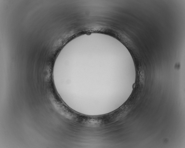 X0000112790546200909181516