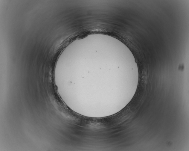 X0000112790547200909181516