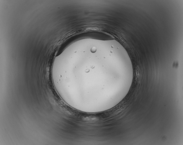 X0000112790551200909181516