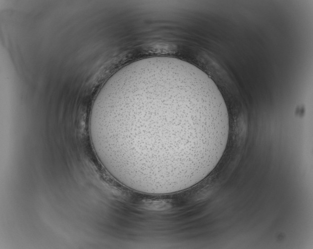 X0000112790553200909181516