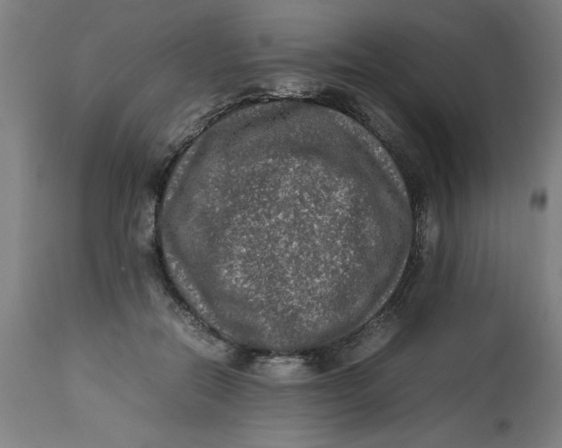 X0000112790554200909181516