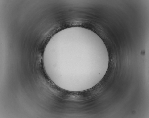 X0000112790555200909181516