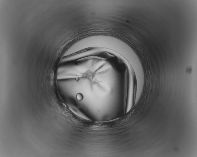 X0000112790556200909181516