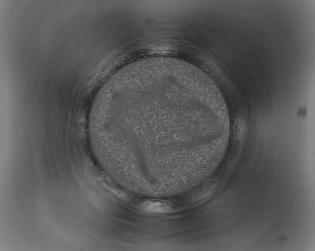 X0000112790557200909181516