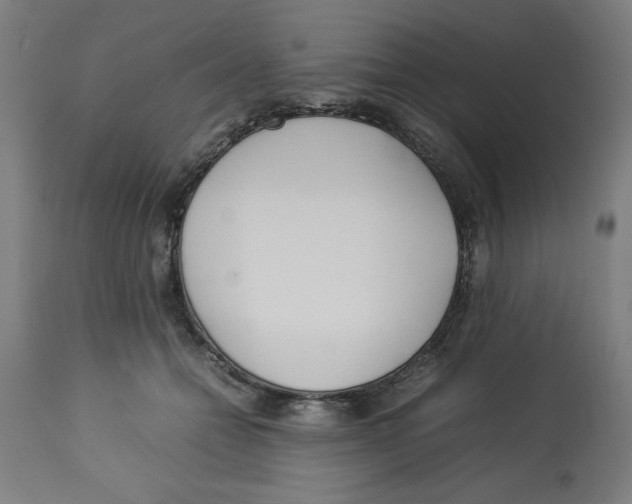 X0000112790558200909181516