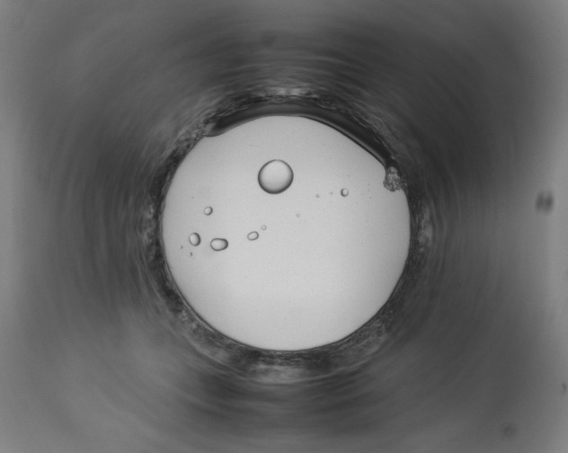 X0000112790559200909181516