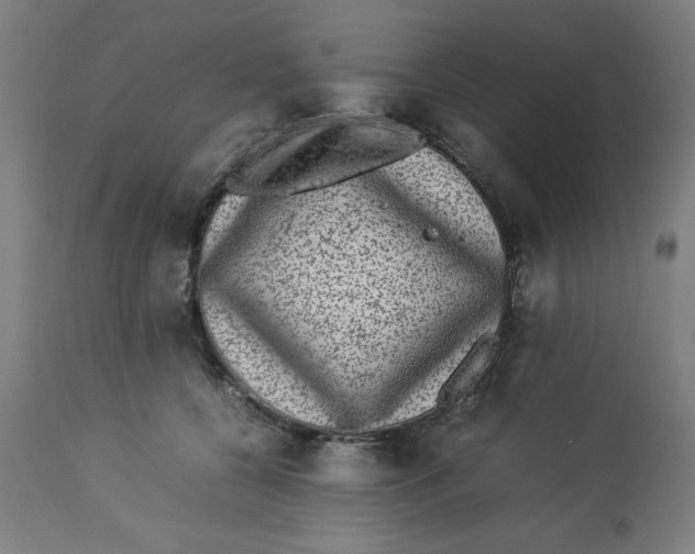 X0000112790560200909181516