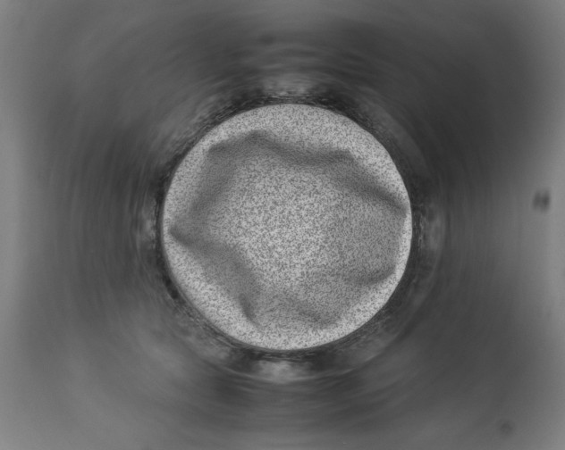 X0000112790561200909181516