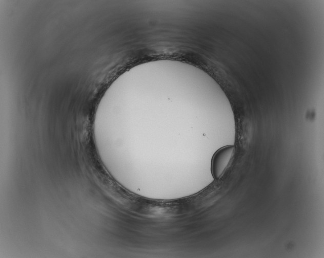 X0000112790563200909181516