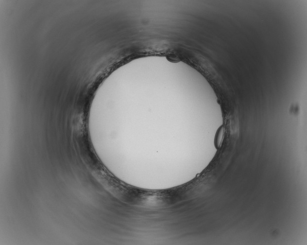 X0000112790564200909181516