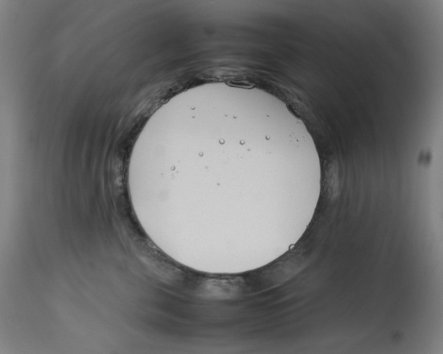 X0000112790571200909181516