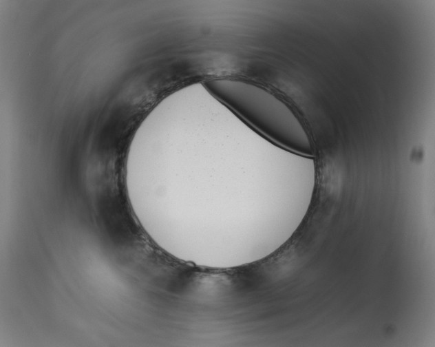 X0000112790572200909181516