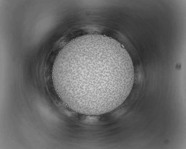 X0000112790573200909181516