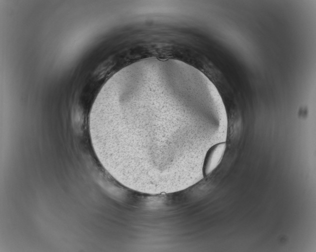 X0000112790574200909181516