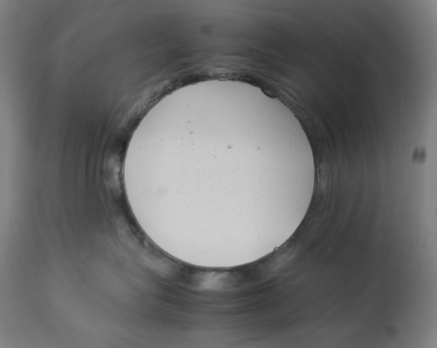 X0000112790575200909181516