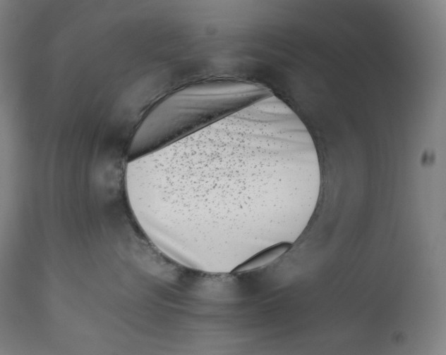 X0000112790576200909181516