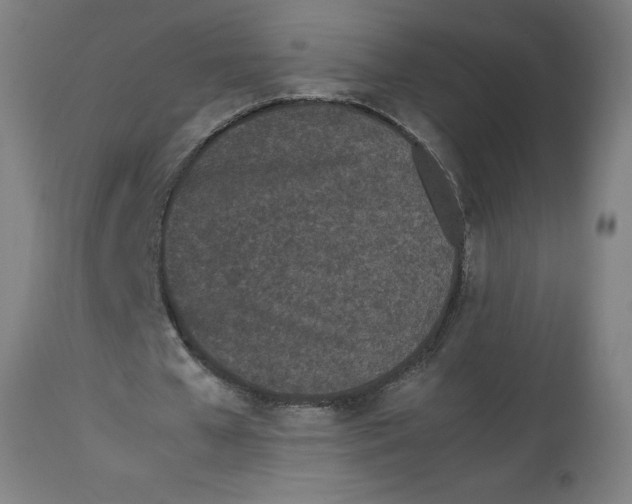 X0000112790577200909181516