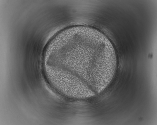 X0000112790578200909181516