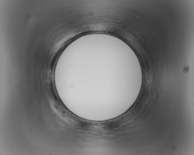 X0000112790583200909181516