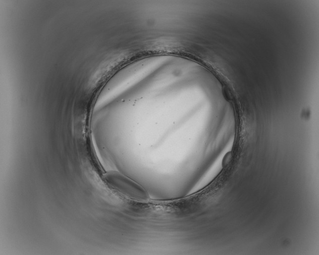 X0000112790585200909181516