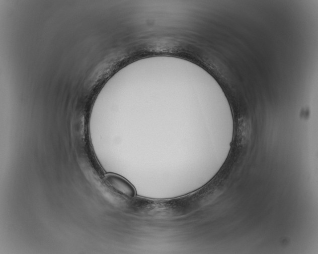 X0000112790589200909181515