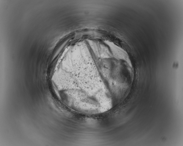 X0000112790592200909181515