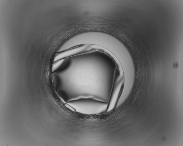 X0000112790593200909181515