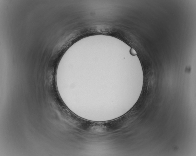 X0000112790595200909181515