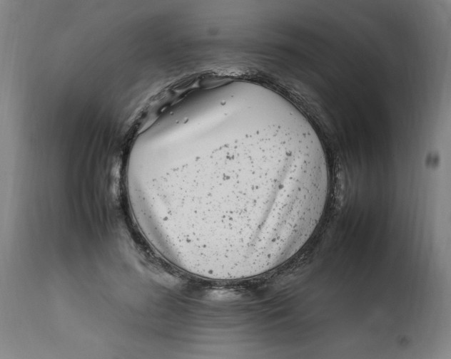 X0000112790596200909181515