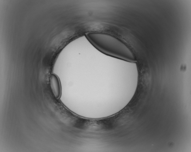 X0000112790597200909181515