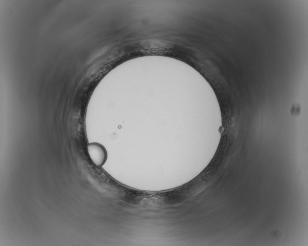 X0000112790599200909181515