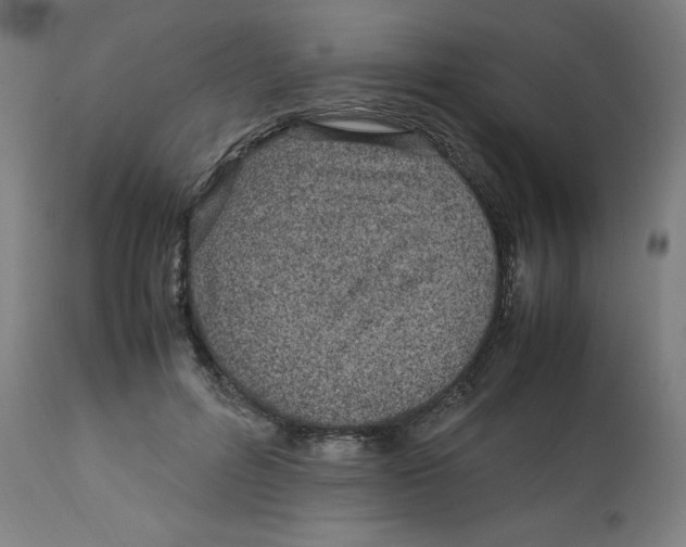 X0000112790600200909181515