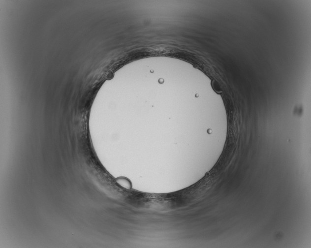 X0000112790601200909181515