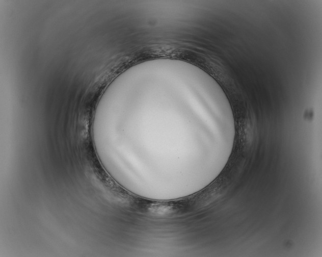 X0000112790602200909181515