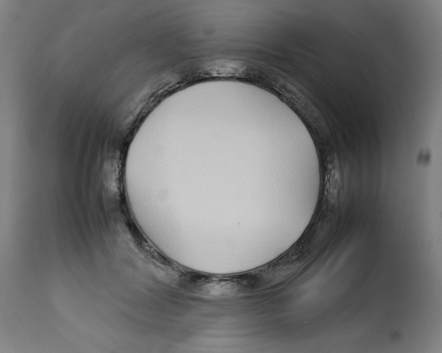 X0000112790604200909181515