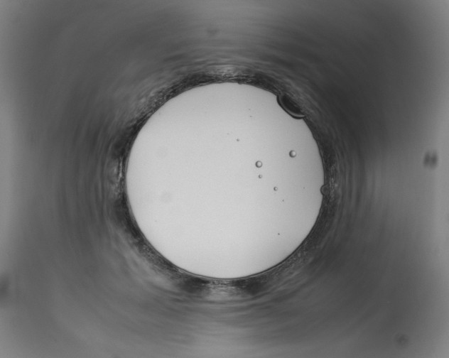 X0000112790605200909181515