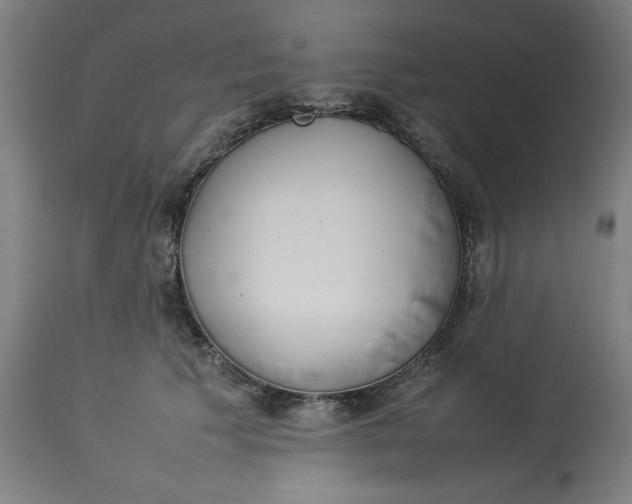 X0000112790609200909181515