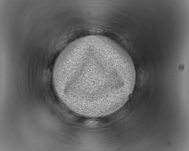 X0000112790614200909181515