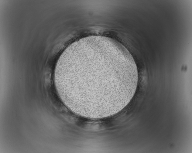 X0000112790615200909181515