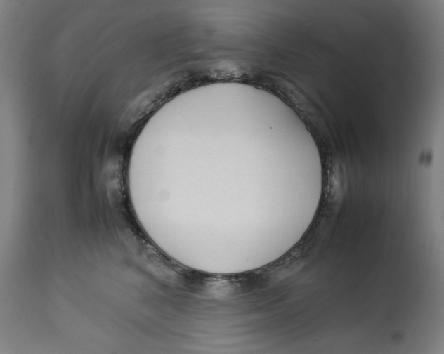 X0000112790616200909181515