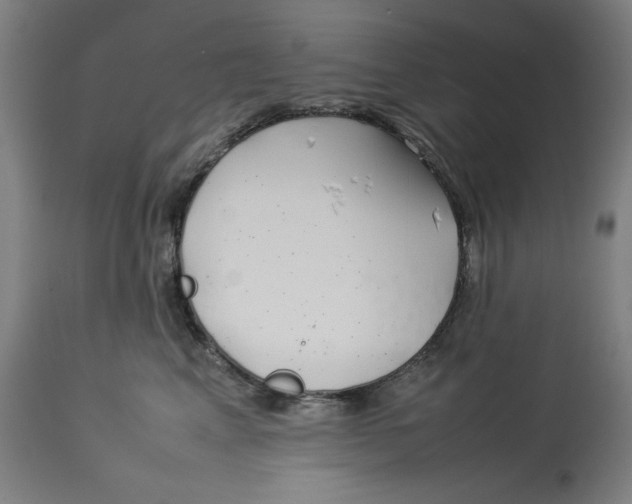 X0000112790617200909181515