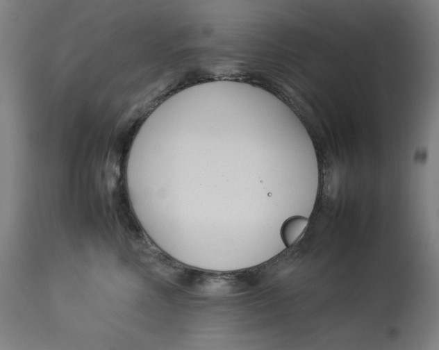 X0000112790618200909181515