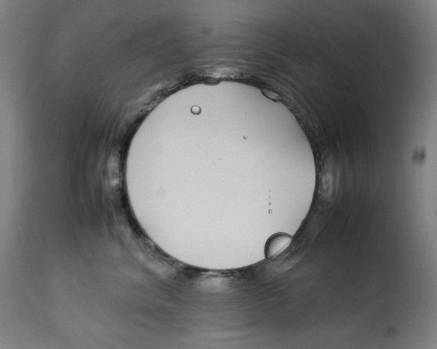 X0000112790620200909181515