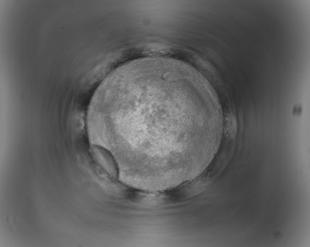 X0000112790621200909181515