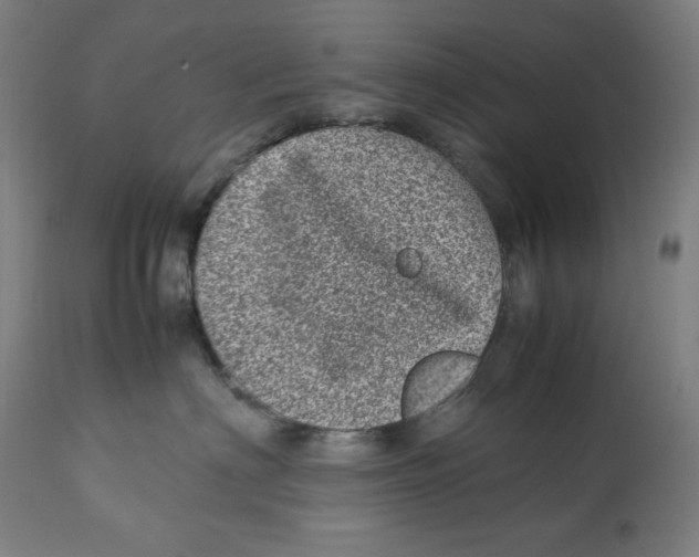 X0000112790622200909181515