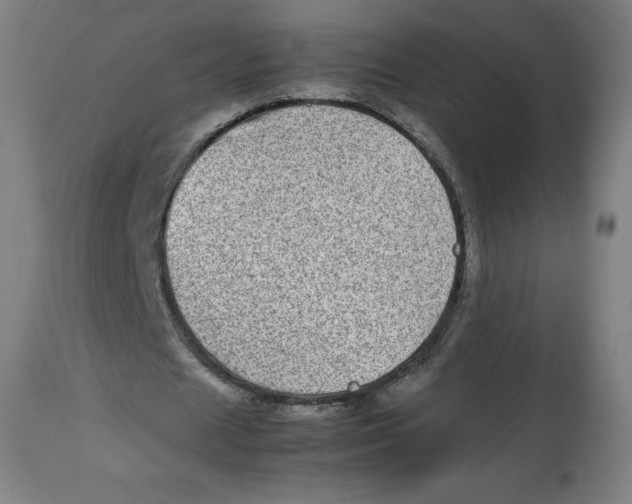 X0000112790625200909181514