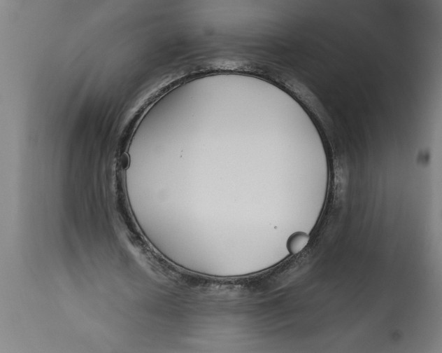 X0000112790626200909181514