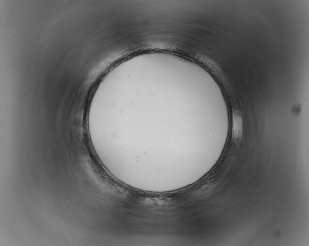 X0000112790627200909181514