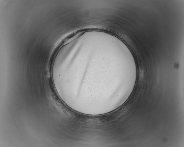 X0000112790628200909181514